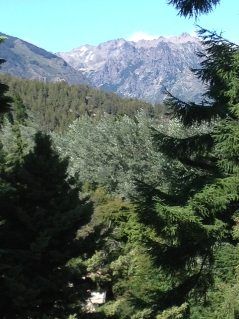 Mountain view