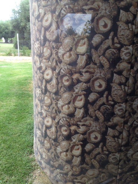 Mushroom exterior of 2 story part of our hotel in Mendoza