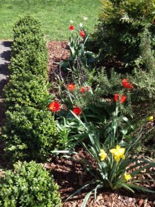 April Flowers