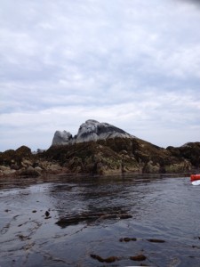 What a 21-foot low tide looks like from a kayak