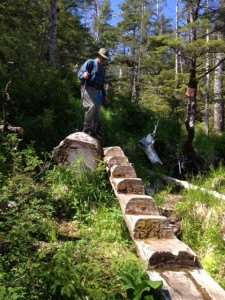 primitive wooden stairway in the forest