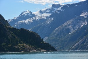 Dawes Glacier 7
