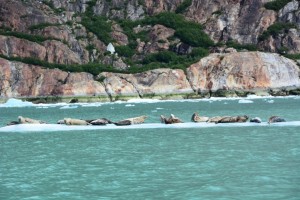 Dawes Glacier 6