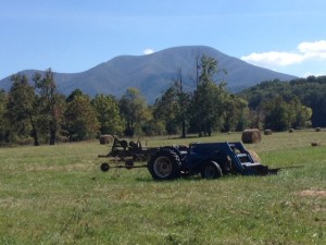 nelson farm