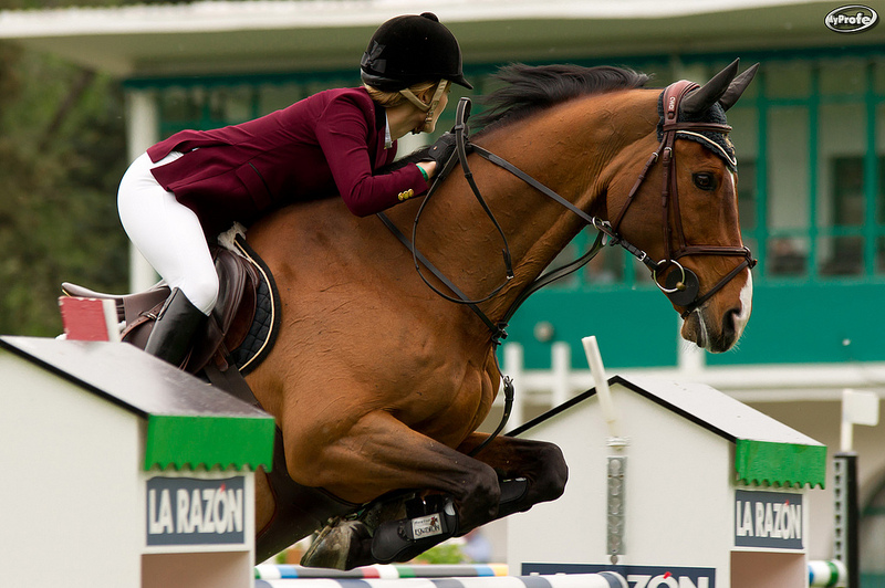 Horse Jumping