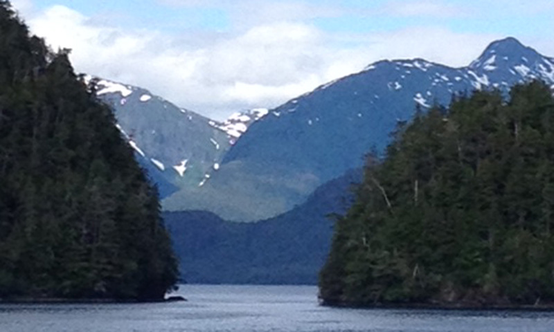 Alaska – Raptors and Mist Cove