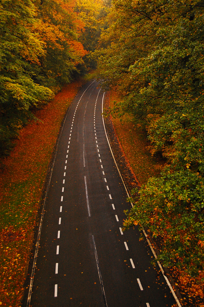 Morning Road